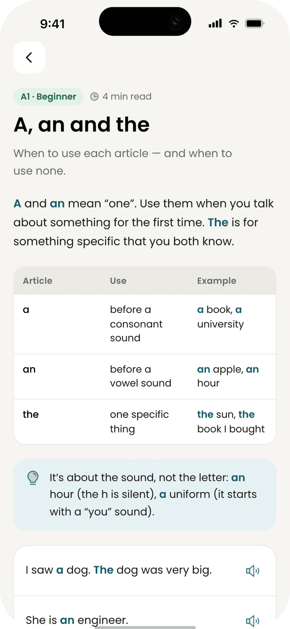 Grammar article: A, an and the